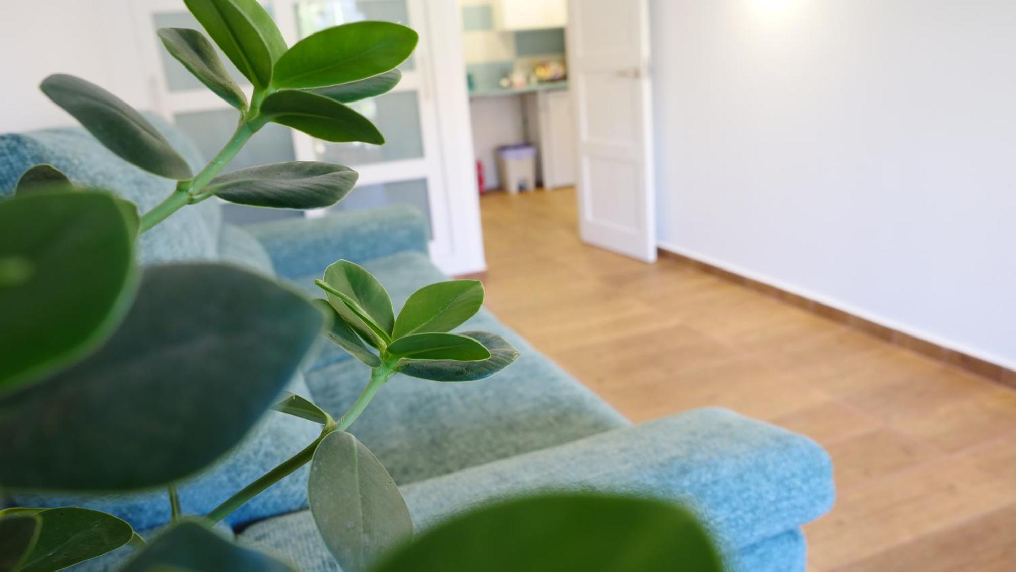 Tuerkiz Kanaan Apartman Puerto de Santiago  Ngoại thất bức ảnh