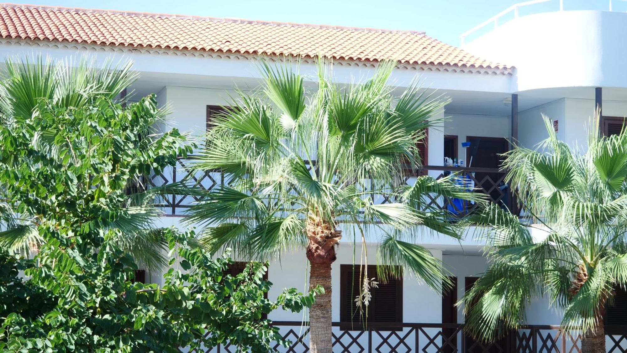 Tuerkiz Kanaan Apartman Puerto de Santiago  Ngoại thất bức ảnh